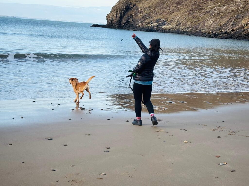 A woman letting go of a pebble for a dog to chase it by the beach.